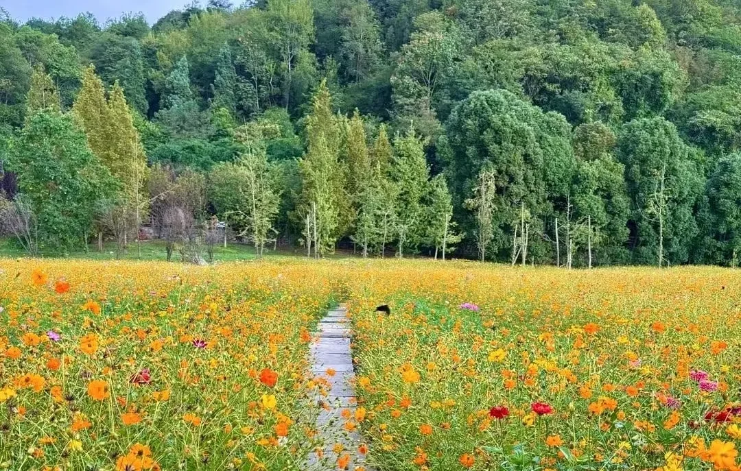 Beginner’s Guide to Enjoying Guiyang Huaxi Scenic Area