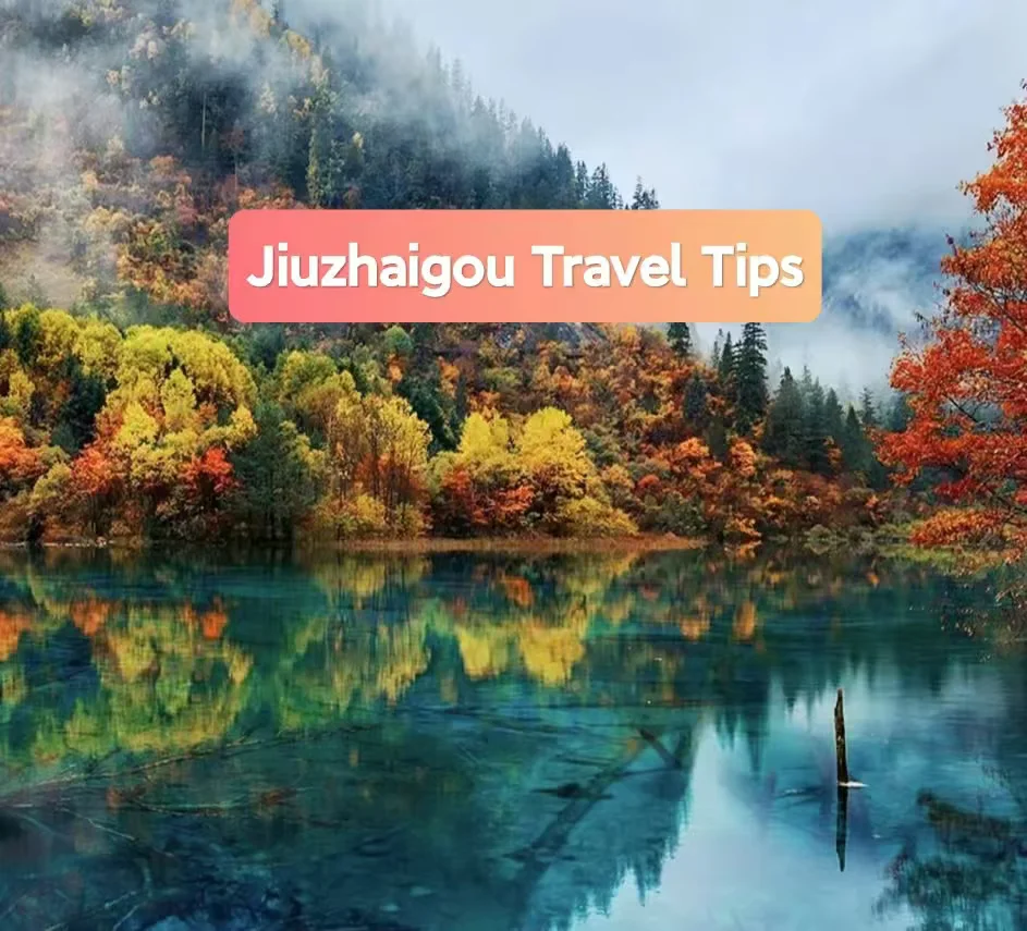 Ultimate Jiuzhaigou Autumn Travel Guide: the Best Sichuan Scenic Wonder