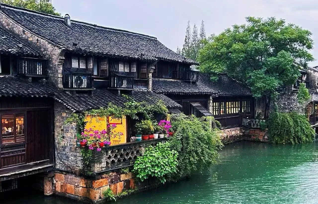 Best Ways to Experience Wuzhen Water Town from Hangzhou