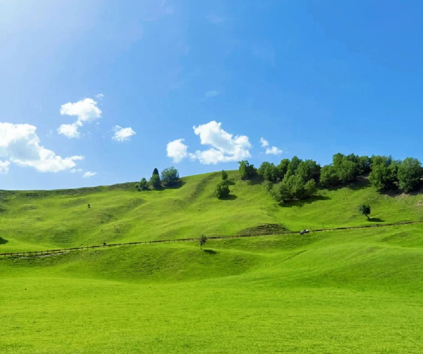 Narati Grassland Attractions and Travel Recommendations