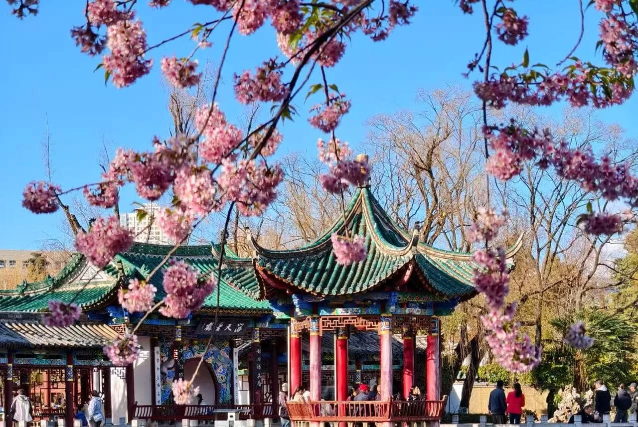 Kunming Green Lake Park Travel Guide for Families and Friends