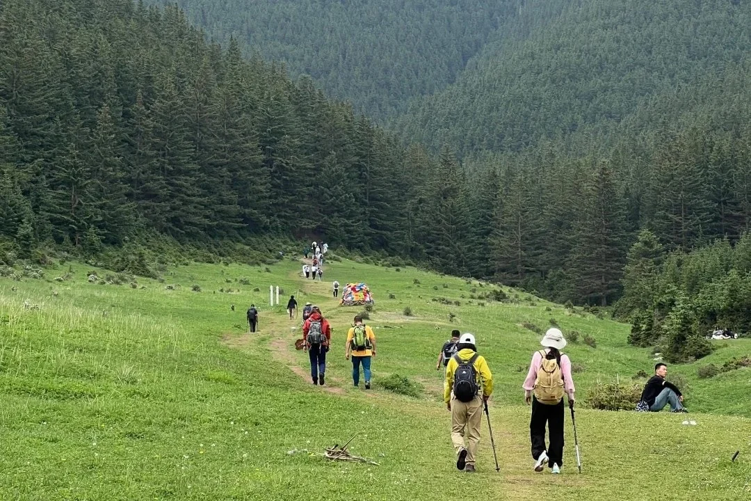 Your Guide to Exploring Ningxia Helan Mountain National Forest Park
