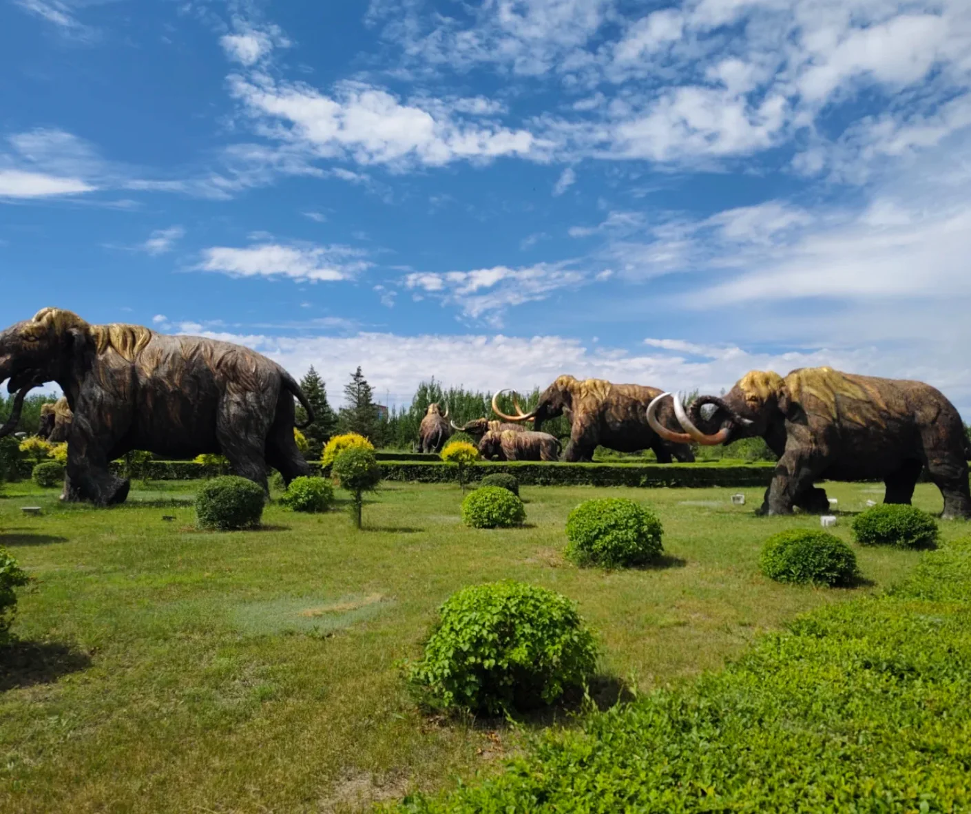 Manzhouli Mammoth Park Itinerary Guide for 2026 Travelers